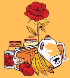 screenshot 2026 01 27 at 12.34.57 pm